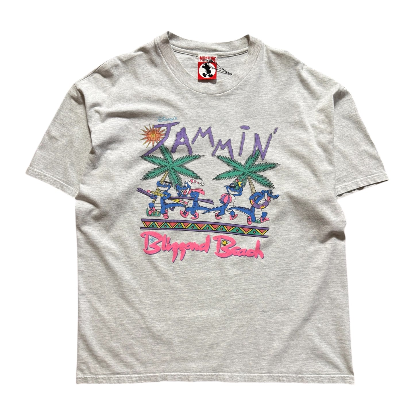 Disney Word Blizzard Beach