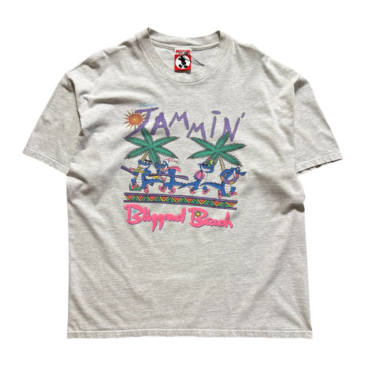 Disney Word Blizzard Beach